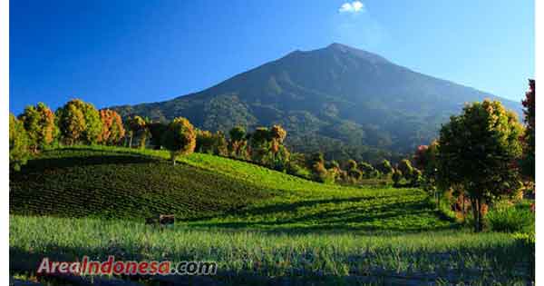 Gunung Kerinci dan Wisata Andalannya