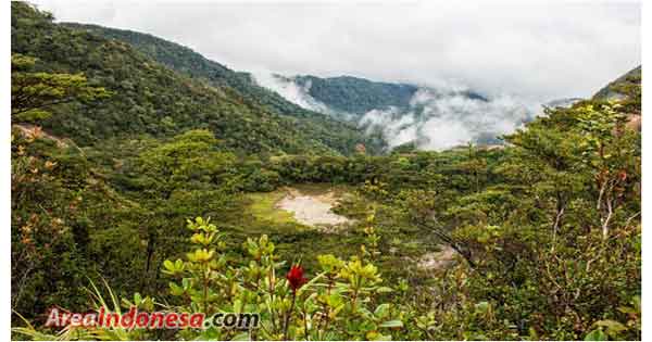 Gunung kunyit