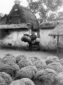 Lumbung - Rumah Adat Bali