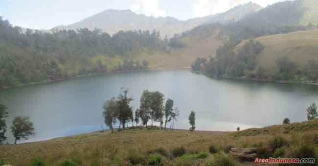 Ranu Pani Wisata Gunung Bromo Tengger