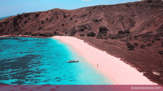 Pink Beach Komodo Island