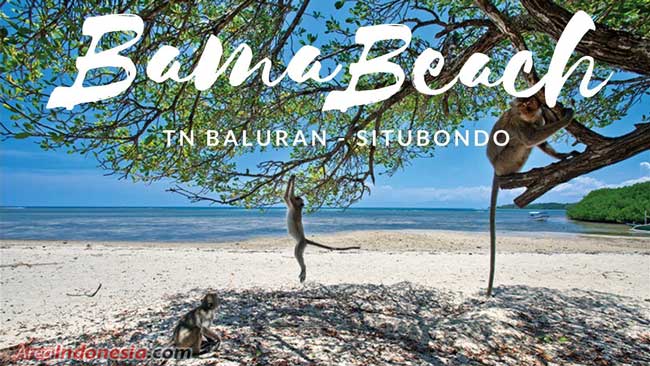 Pantai Bama, TN Baluran