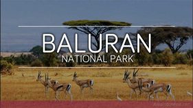 Taman Nasional Baluran